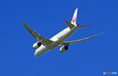 「青空」JAL 787-8 JA841J 出発