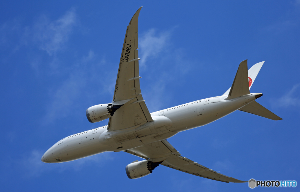 JAL 787-8 JA836J 離陸 