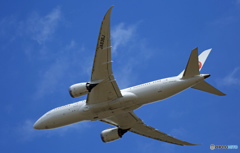 JAL 787-8 JA836J 離陸 