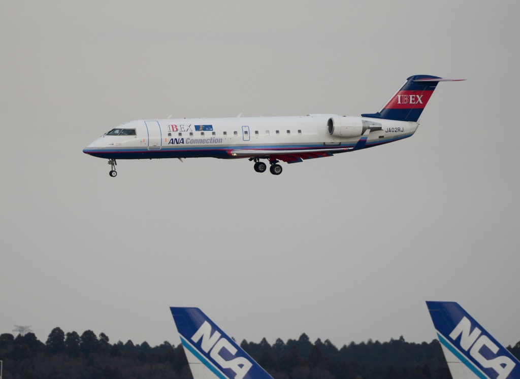 ANA IBEX CL-600-2B19 到着
