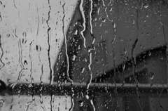 雨