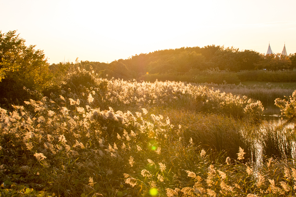 太陽が描く光の芸術