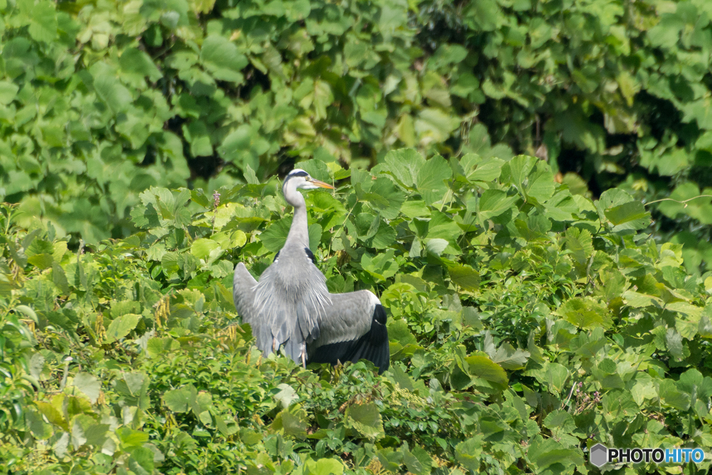 秋の太陽で日光浴♪