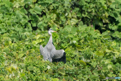 秋の太陽で日光浴♪