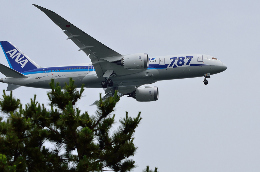 何かと話題の787