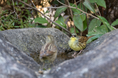 こちらも見つめ合う2人