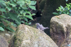お風呂上がりで気持ちい～♪