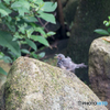 お風呂上がりで気持ちい～♪