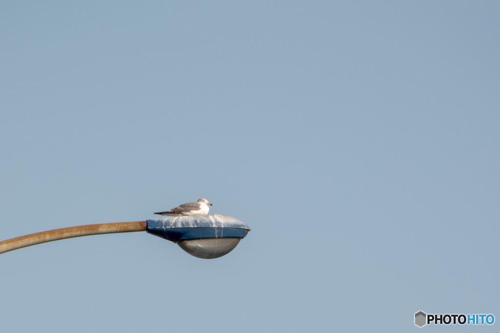 そこは気持ちが良いのかな？