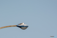 そこは気持ちが良いのかな？