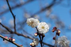 久しぶりの写真散歩