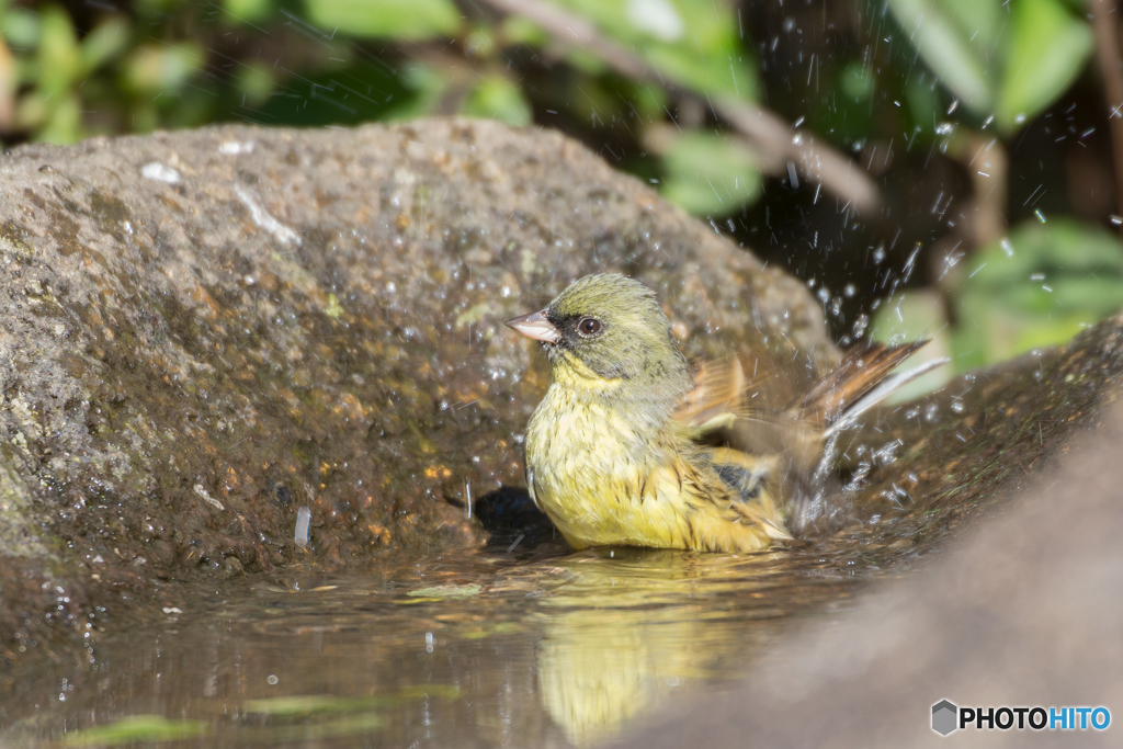 あ〜気持ちいい〜♪