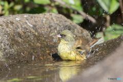 あ〜気持ちいい〜♪