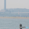 都内の公園でも健気に生きる！
