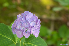 公園の片隅にひっそり