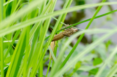 本格シーズン到来！？