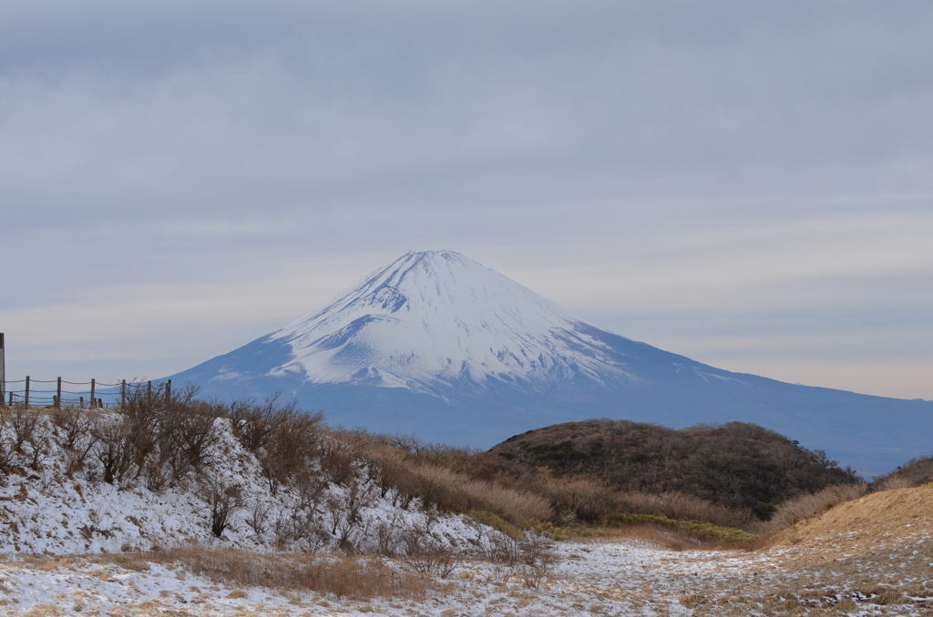 富士山