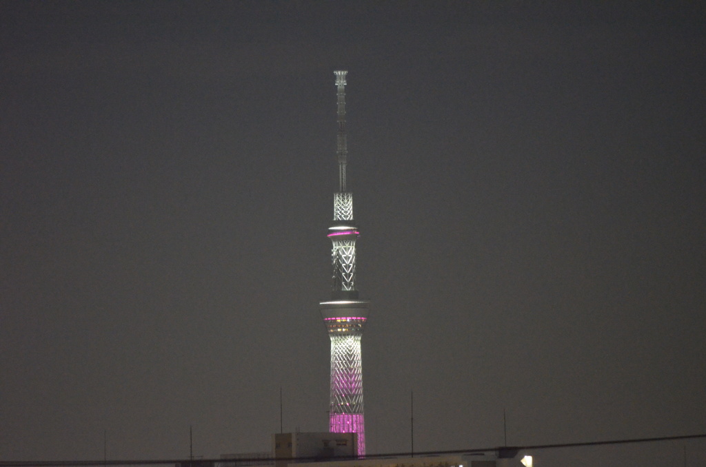 ピンクリボンのスカイツリー