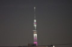 ピンクリボンのスカイツリー