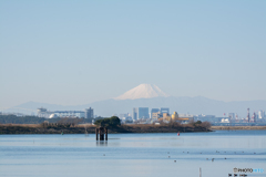 初撮り！　1富士