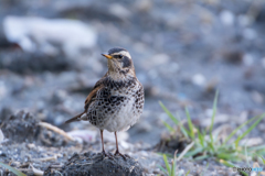 ねぇ何してるの？