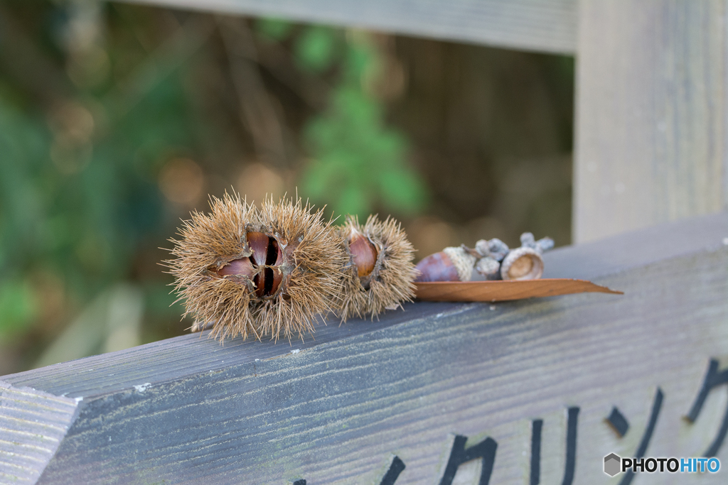 誰かの置き土産