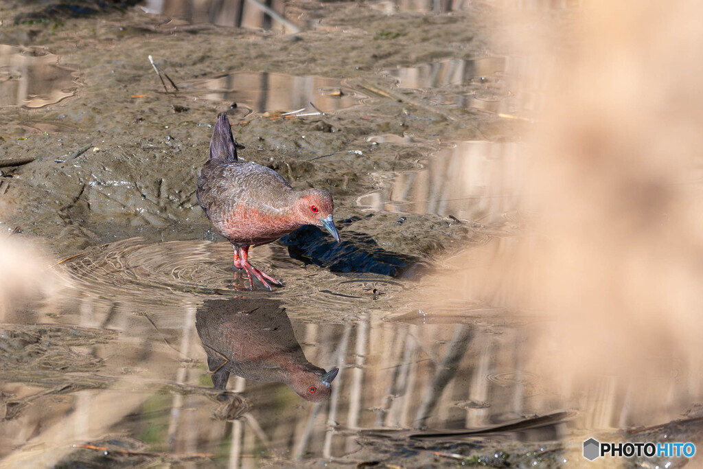 超久しぶりの投稿