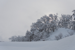 出張先は豪雪の里山