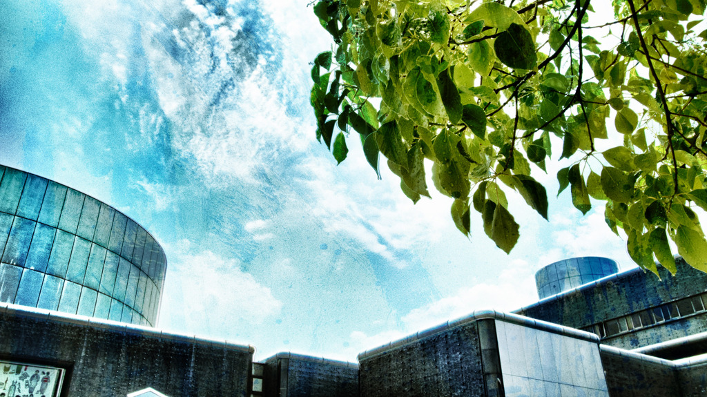 After the rain : aｔ the 万博民族学博物館