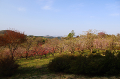 みちのく桃源の里