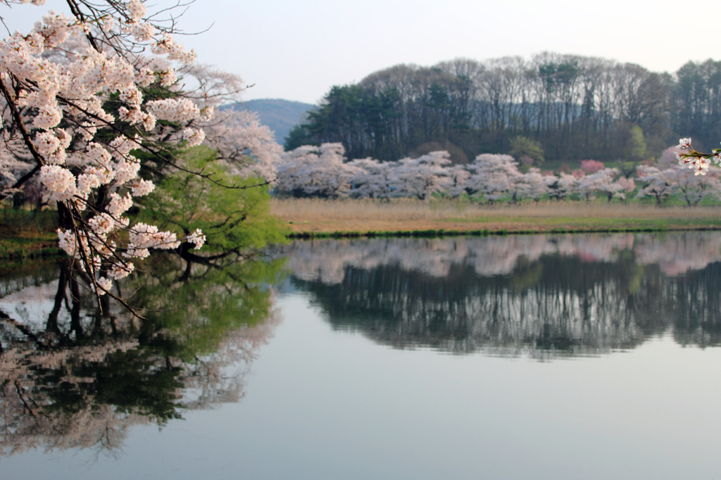 水鏡 - 高松の池2（芝水園）