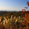 秋彩探し（天峰山）