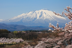 岩鷲の春Ⅱ