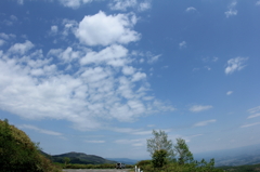 新緑と青空