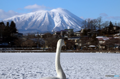 君なに想う - Ⅱ