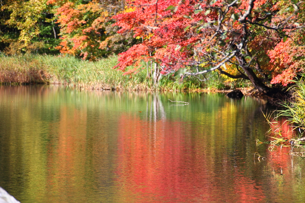 「秋のロケハン- Ⅴ」の本番Ⅱ
