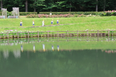 120706滝沢総合公園-お花を見に行こうよ！