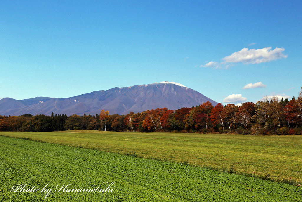 みちのく紅葉 - 小岩井