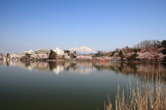 高松の池
