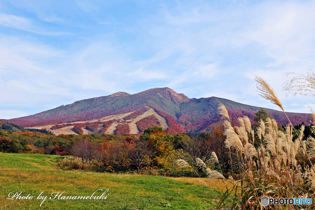 秋田駒ヶ岳 - Ⅱ