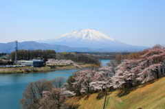 岩鷲の春Ⅲ