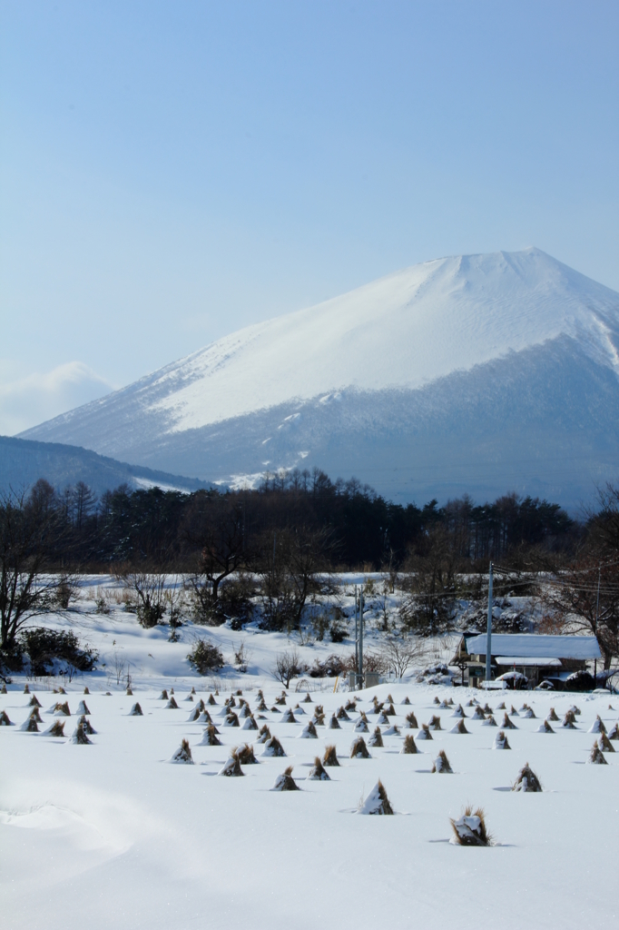 稲わら三角帽 - 岩手山