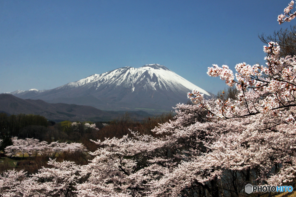 南部片富士の春