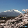 南部片富士の春