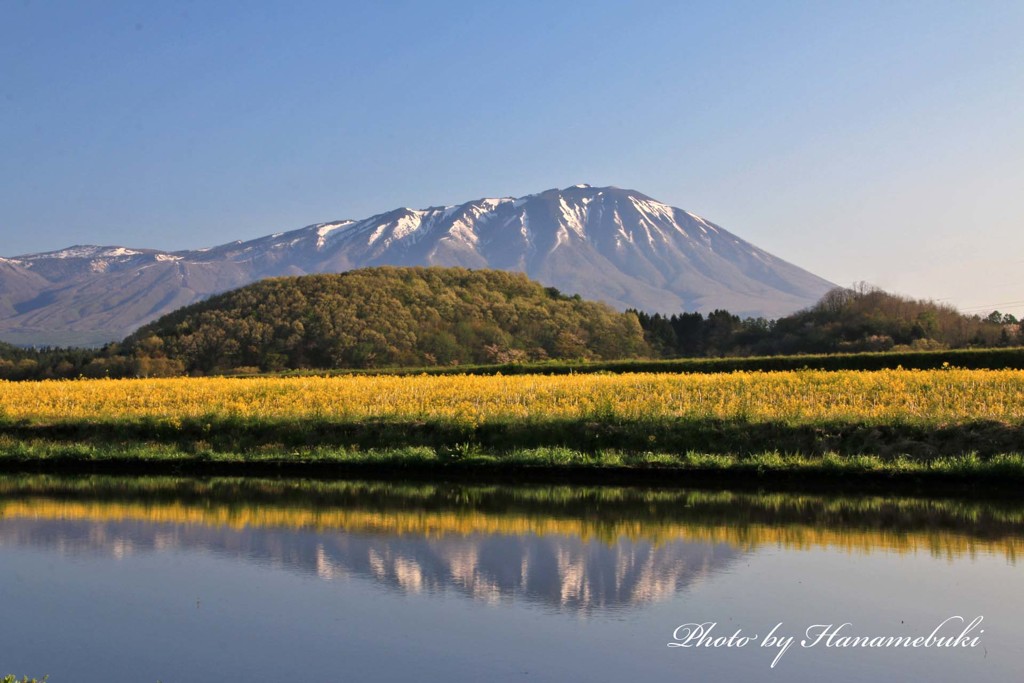 田鏡 - Ⅱ