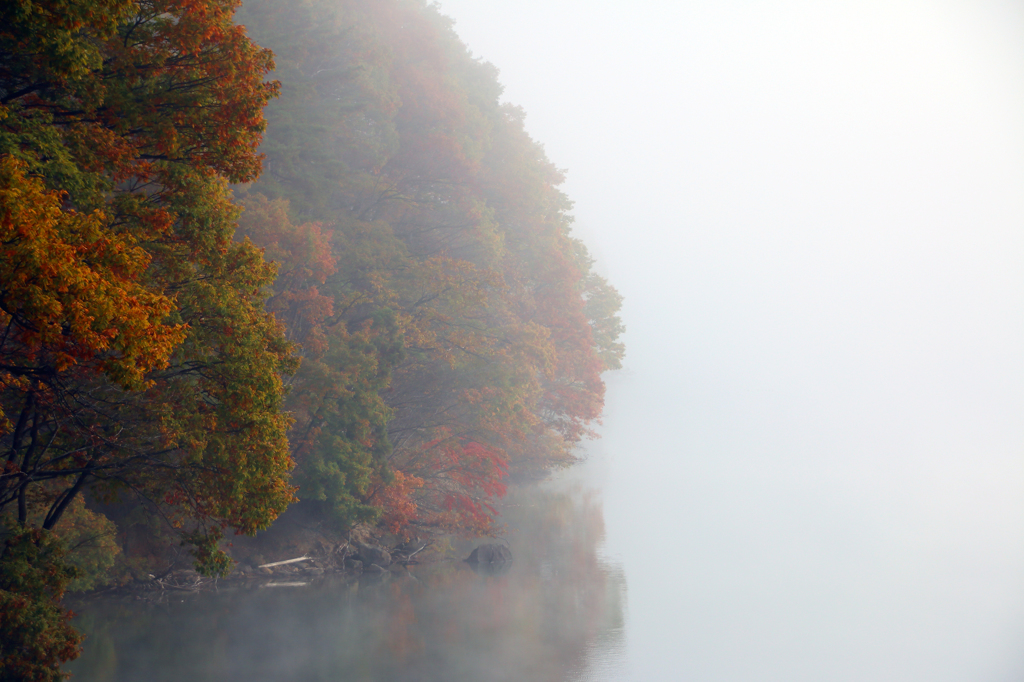 秋彩探し - 霧の御所湖