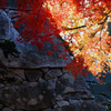 里の彩 - 石垣の秋2