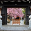 円光寺