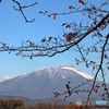 里の彩 - 冠雪の南部片富士Ⅳ
