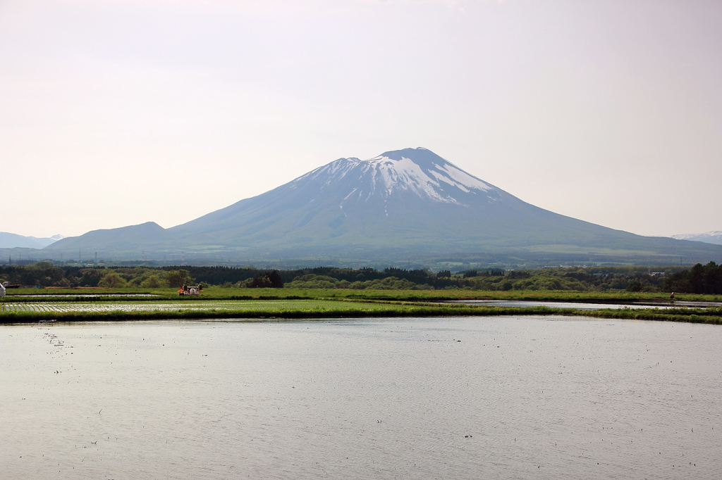 春霞の田植え - 岩手山